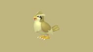 Shiny Pidgey (Image via The Pokemon Company)